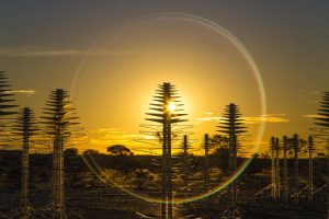 Касдон, щоб зробити 180 000 друкованих плат для радіотелескопа